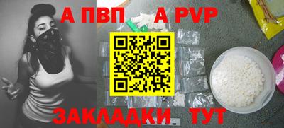 СК Кингисепп