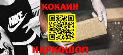 СК Кингисепп