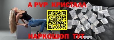 СК Кингисепп