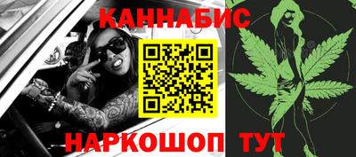 spice Кинель