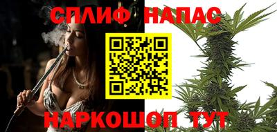 spice Кинель