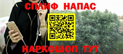 СК Кингисепп