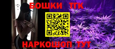 СК Кингисепп