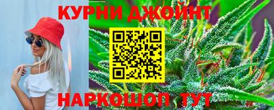 СК Кингисепп