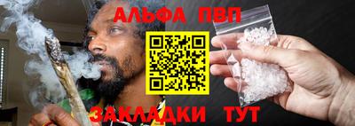 СК Кингисепп