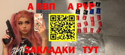 СК Кингисепп