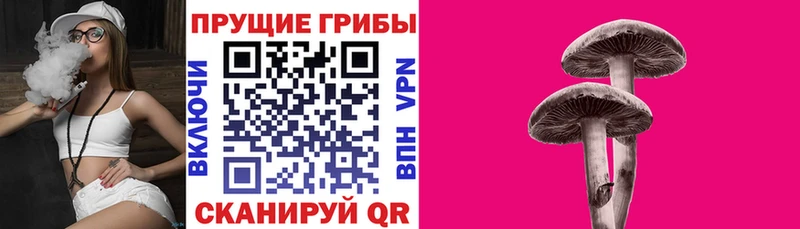 Галлюциногенные грибы мицелий Топки