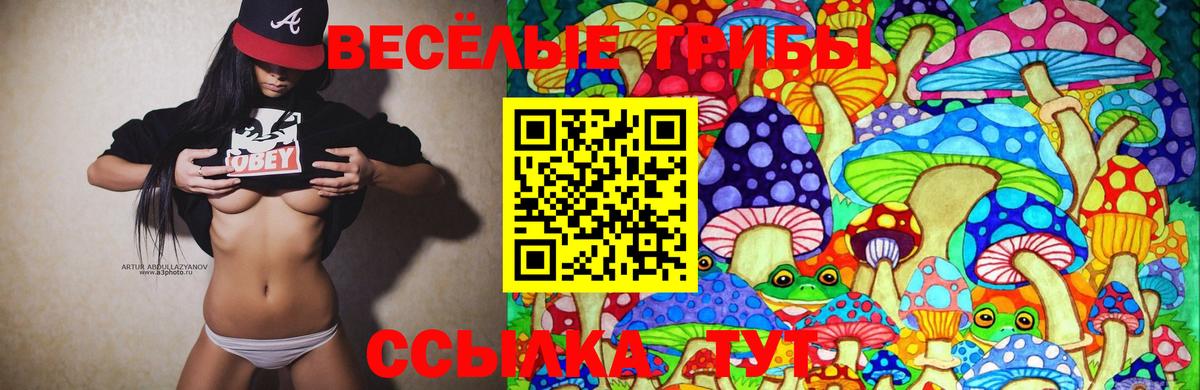 Бошки Шишки  Гашиш  А ПВП СОЛЬ   Меф МЯУ МЯУ кристаллы  Cocaine  Вход с VPN  Топки  КОКАИН 