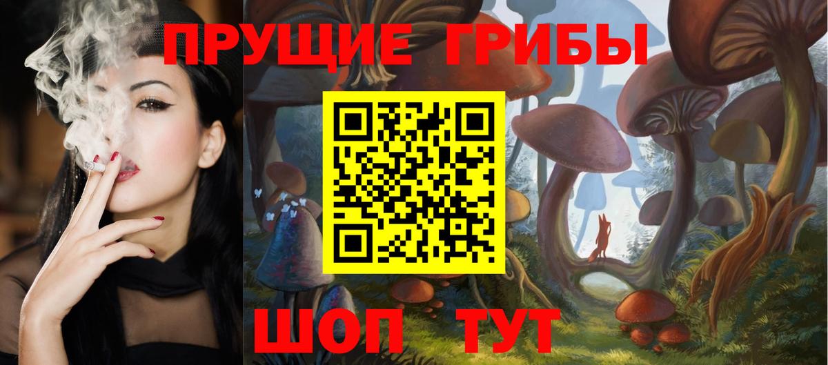 где можно купить   Топки  Псилоцибиновые грибы MAGIC MUSHROOMS 